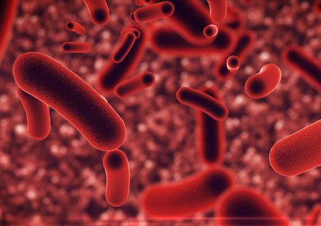 MDR Tuberculosis